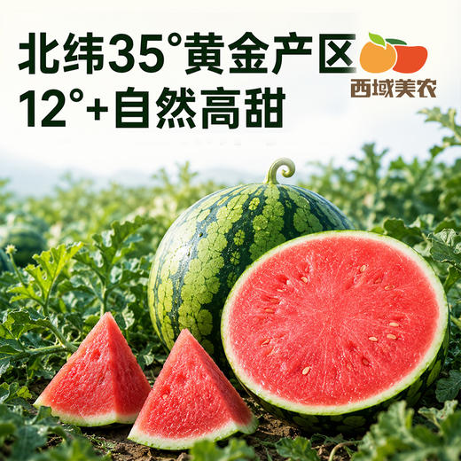 【顺丰！】西域美农 美都麒麟瓜西1个  甘甜多汁 商品图2