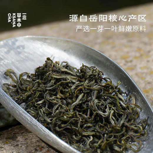 【茶品上新】望君山·黄小茶 | 进阶原叶系列 | 50g原叶 | 黄茶类 商品图1