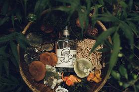 金酒 | 谜（野生菌Gin）