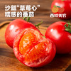 【顺丰】西域美农泾阳普罗旺斯西红柿plus 水果西红柿 商品缩略图2