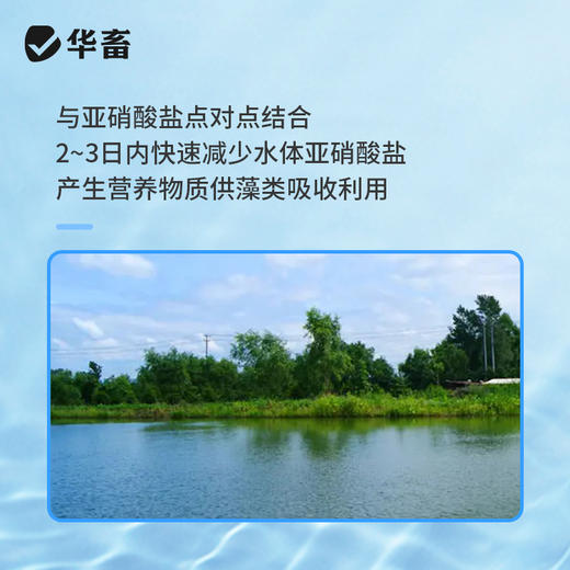 华畜亚硝克500g 降解亚硝酸盐 商品图3