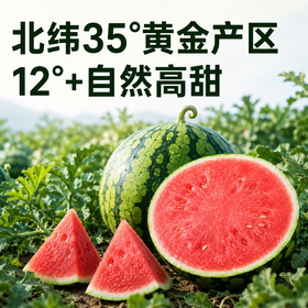 【顺丰！】西域美农 美都麒麟瓜西1个  甘甜多汁