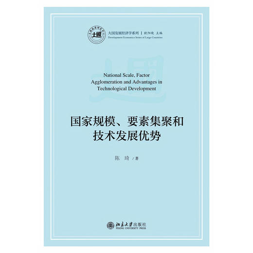国家规模、要素集聚和技术发展优势  大国发展经济学系列  陈琦 著  北京大学出版社 商品图1