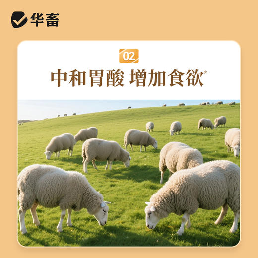 华畜兽用小苏打 中和胃酸健胃增产 猪鸡牛羊通用 商品图3