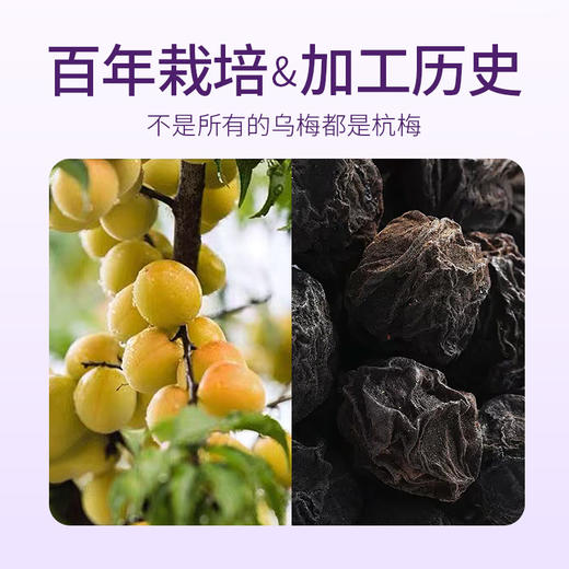 【控卡乌梅饮】一袋=20g乌梅生药有效成分！自然植物萃取，不仅能ci激脂//肪细胞分化，还能滋养chang道应对油腻烦恼！【QJ-J】 商品图2
