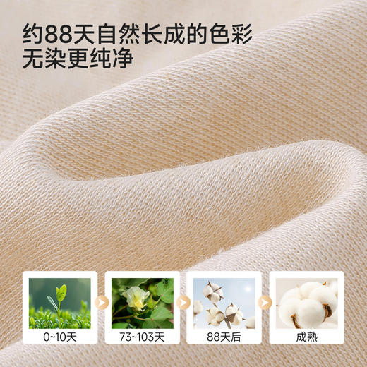 【商场同款】英氏儿童床笠宝宝床床罩加厚柔软有机棉床铺床上用品 商品图2