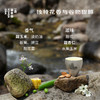 【茶品上新】望君山·黄小茶 | 进阶原叶系列 | 50g原叶 | 黄茶类 商品缩略图3