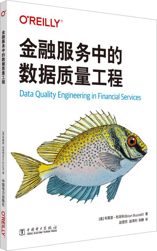 金融服务中的数据质量工程 商品图0