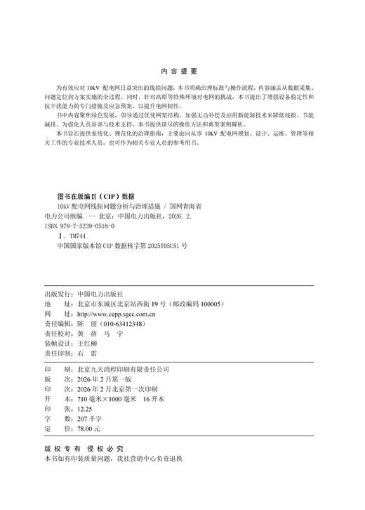 10kV配电网线损问题分析与治理措施 商品图3