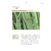 永康野生动物图鉴/郑荣泉 陈敏 著/浙江大学出版社 商品缩略图3