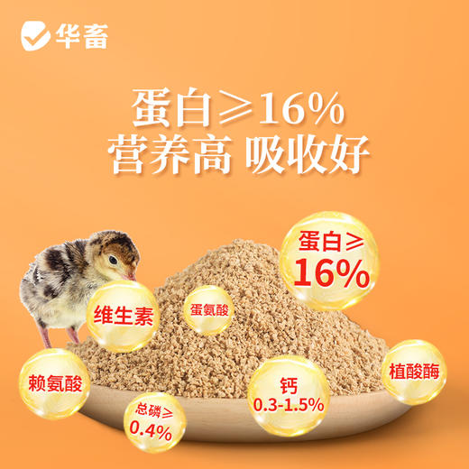 【整吨更优惠】华畜 雏鸡饲料20斤  臻选原料 营养丰富 蛋白含量高长得快 双层防潮包装 商品图1