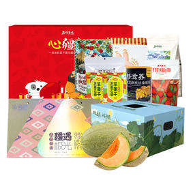 【端午节300元套餐】心疆礼零食礼盒+疆遇极光粽子礼盒+新疆哈密瓜