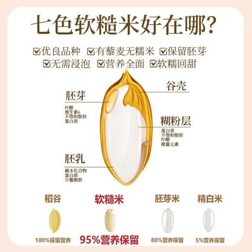 【七色软糙米】 免浸泡口感软糯  无需浸泡也软糯 商品图2
