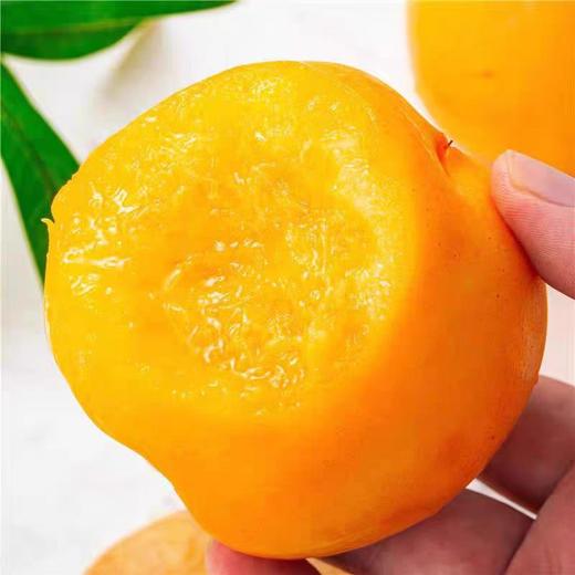 严选 | 黄金芒果油桃 净重2.5斤大果（单果125-175g,3-5个/斤）鲜嫩脆爽 果香四溢 新鲜现摘 商品图1
