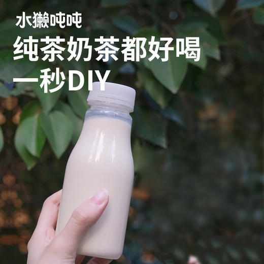 【清凉一夏】水獭吨吨 茶鲜萃液系列 多口味合集 150g 商品图4
