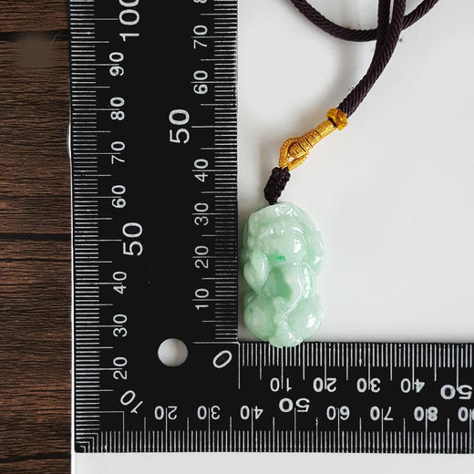 【天然正品】A货翡翠 天然细腻细豆种浅绿貔貅造型翡翠吊坠项链 190526XY12 商品图2