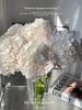 甜蜜璀璨绣球花1支 商品缩略图1