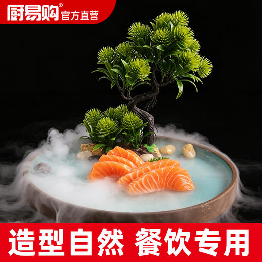 造景大师系列—唯美【绒松】 随手一放即可绽放唯美！ 商品图0