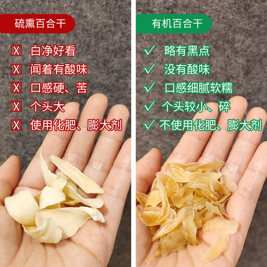 有机百合干 粉糯易煮  拒绝熏硫 煲汤甜汤煮粥好食材 商品图2