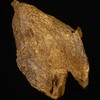 BC.SN5.18-3   越南芽庄沉水材料，50.06g 商品缩略图0