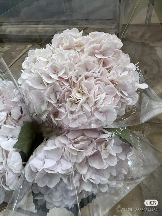 甜蜜璀璨绣球花1支 商品图0