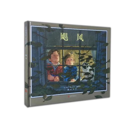 飓风（新） 商品图0