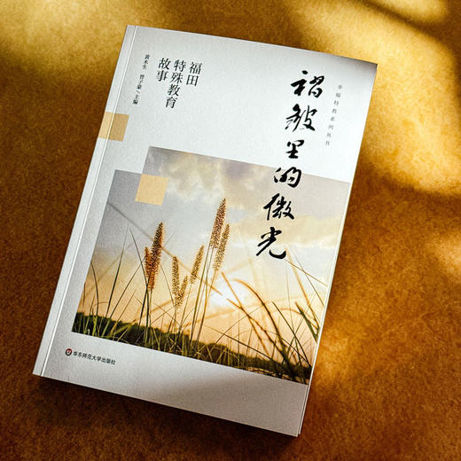 褶皱里的微光 福田特殊教育故事 用师爱守护教育的微光 商品图4