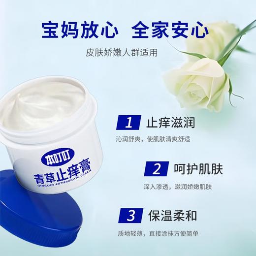 本叮叮青草止痒膏 商品图3