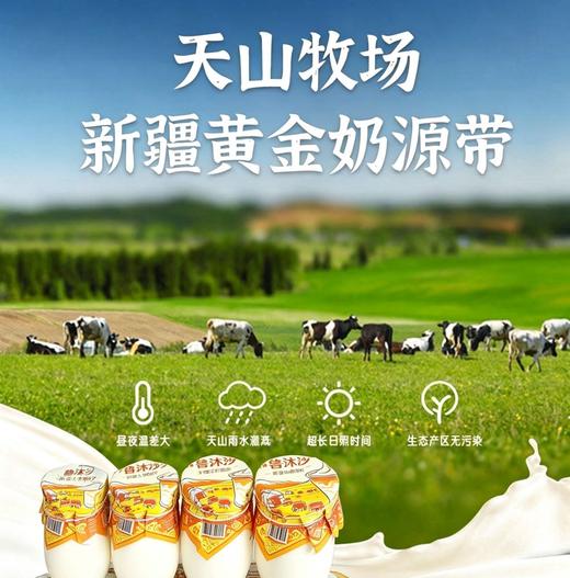 布鲁沐沙·新疆土酸奶 净含量180g*10瓶/件（含糖/无蔗糖） 商品图6