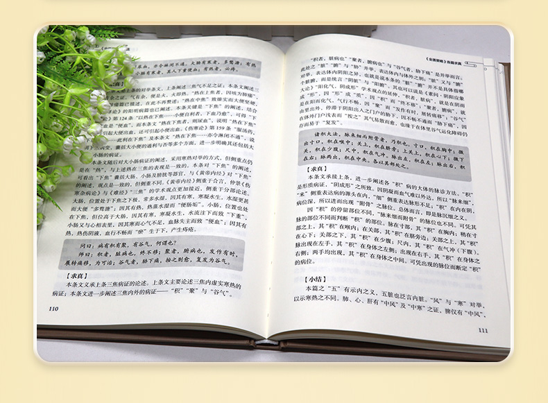 中医棕黄-1_05.jpg