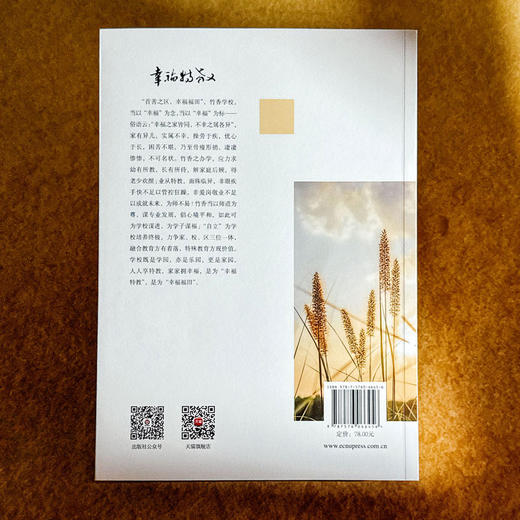 褶皱里的微光 福田特殊教育故事 用师爱守护教育的微光 商品图2