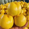 严选 | 黄金芒果油桃 净重2.5斤大果（单果125-175g,3-5个/斤）鲜嫩脆爽 果香四溢 新鲜现摘 商品缩略图2