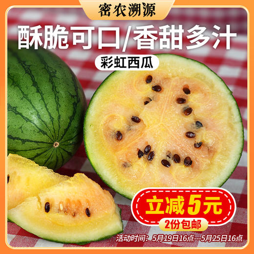 北京农家种植彩虹西瓜1个  果肉橙黄  皮薄少籽  酥甜可口  小西瓜 2份包邮 商品图0