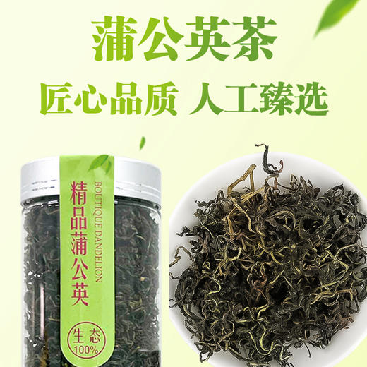 精品蒲公英 42g/桶 商品图0