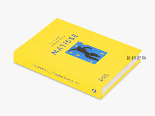 The World According to Matisse / 马蒂斯眼中的世界 商品图1