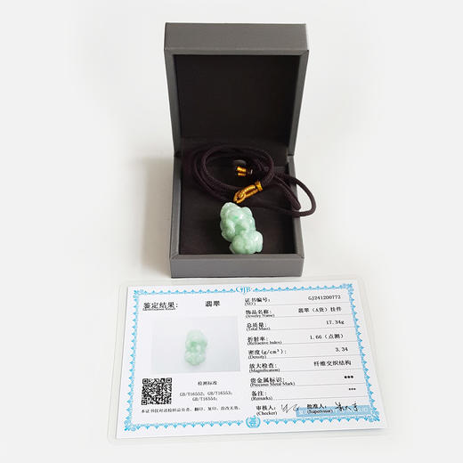 【天然正品】A货翡翠 天然细腻细豆种浅绿貔貅造型翡翠吊坠项链 190526XY12 商品图1