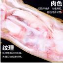 【QT】猪前蹄 商品图1