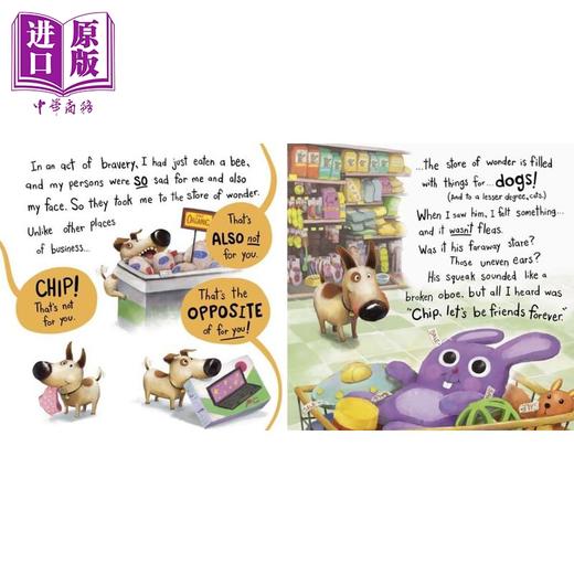 预售 【中商原版】小狗奇普的人生课程 Don't Lose Mr. Cuddles 英文原版 儿童绘本 亲子图画书温馨故事 进口童书 精装 商品图3