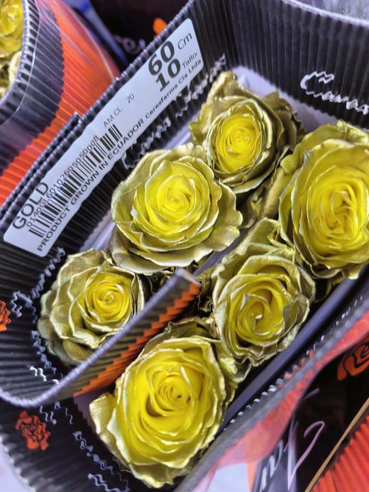 厄瓜多尔进口染色GOLD黄金玫瑰10支 商品图5