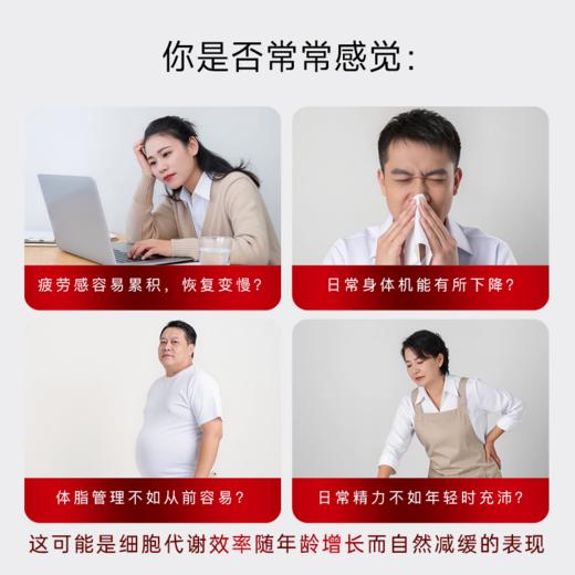 【效期至29年1月】Mama Mujer 硅谷精力素 细胞线粒体自噬 马斯克神仙老妈吃的StanYouth尿石素A 超模代谢丸 欧美抗衰圈 清理老废细胞 30+代谢 60粒/瓶 MMMJ 海淘 商品图3