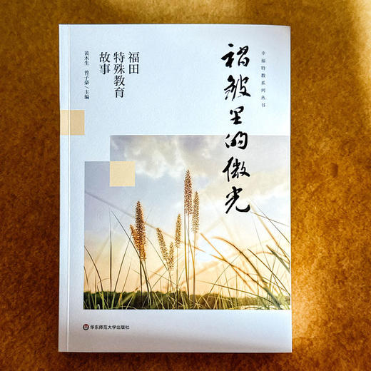 褶皱里的微光 福田特殊教育故事 用师爱守护教育的微光 商品图1