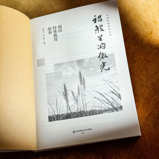 褶皱里的微光 福田特殊教育故事 用师爱守护教育的微光 商品图5