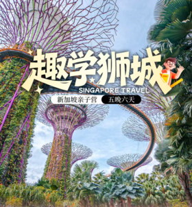 探秘狮城新加坡6天5晚 | 给孩子一场有意义的研学旅行