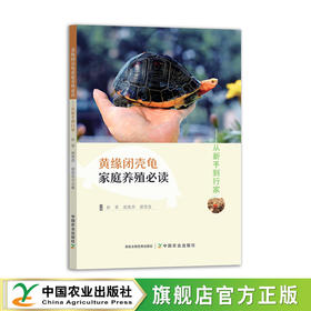 黄缘闭壳龟家庭养殖必读