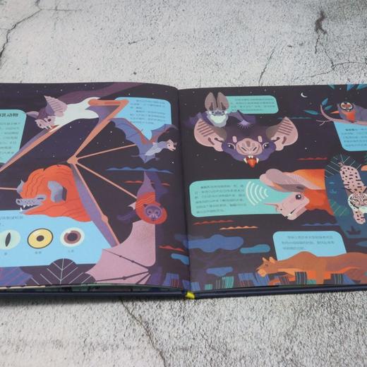 夜幕下的星球和生物 商品图3
