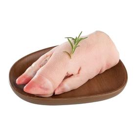 【MLT】猪前蹄