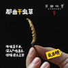 那曲【2023年干虫草】（成都仓库-顺丰包邮） | 10g，20g，来自西藏那曲市比如县，生产者：当地藏民【原乡直采】 商品缩略图0
