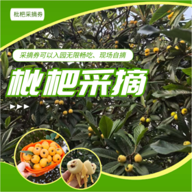 【浙团】浙江枇杷采摘畅吃券