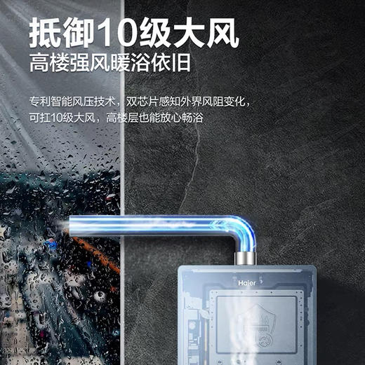 海尔（Haier）热水器 JSQ31-16FXT6FRXGU1 商品图9