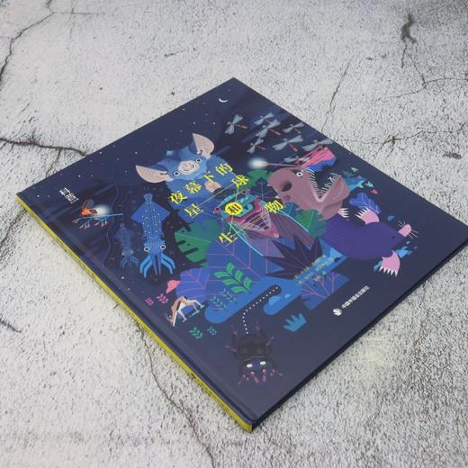夜幕下的星球和生物 商品图1